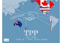 TTP là gì những điều cần biết về tổ chức này